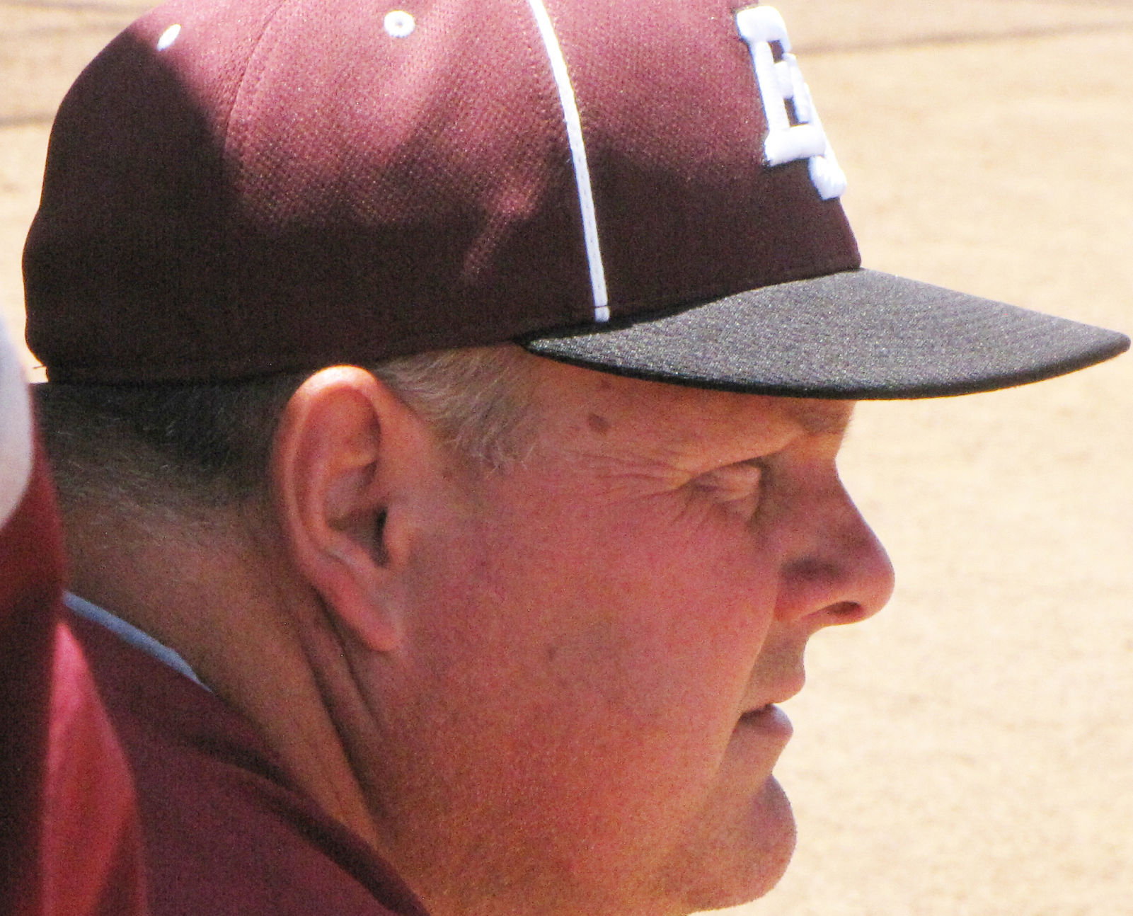 East Webster softball